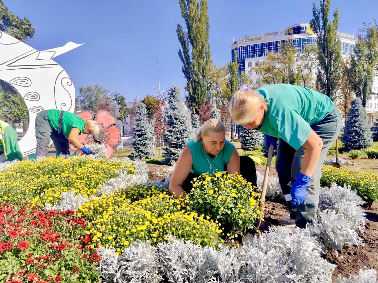 У Києві розпочався сезон хризантем: повний перелік осінніх локацій для яскравих фото фото 1