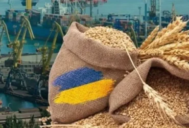 Як забезпечити продовольчу стабільність в часи невизначеності