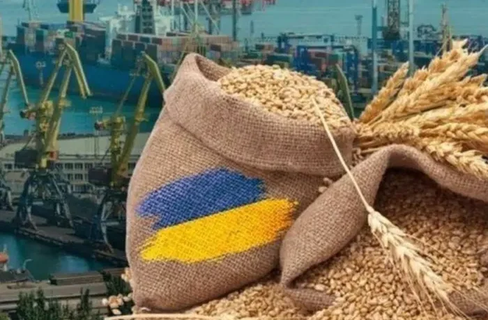 Як забезпечити продовольчу стабільність в часи невизначеності