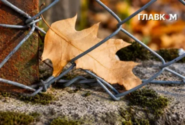 В Україні дощі та похолодання до 14°: погода на 28 жовтня 2026 року