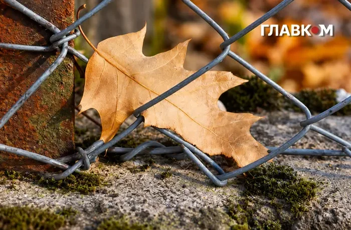 В Україні дощі та похолодання до 14°: погода на 28 жовтня 2026 року