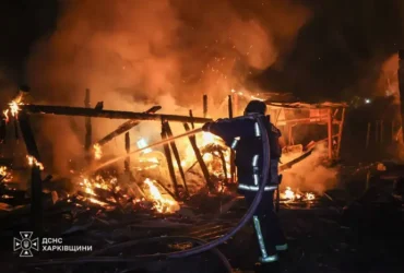 Повітряні сили повідомили, чим РФ уночі била по Україні