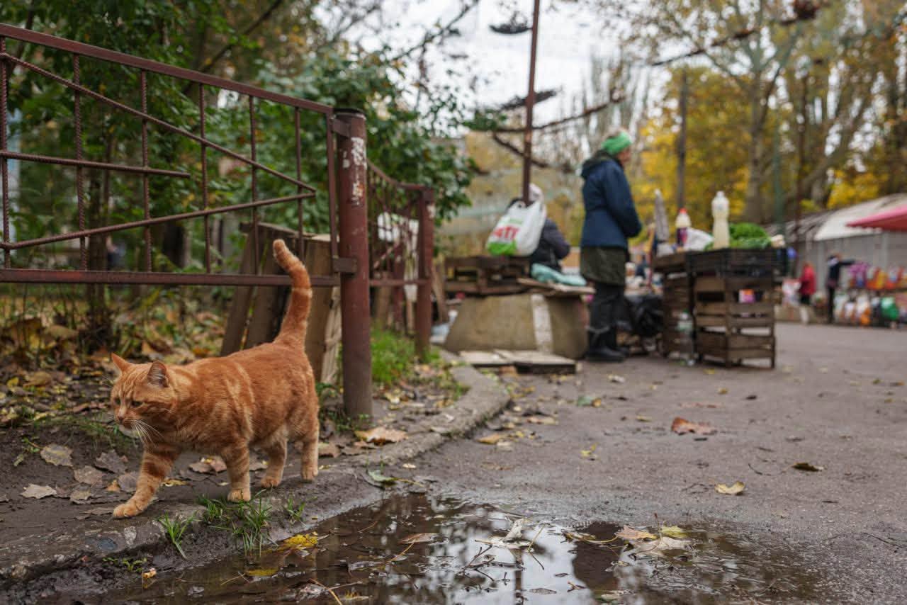 З'явилися перші фото з окупованих Олешок: як виглядає місто після російських атак фото 2