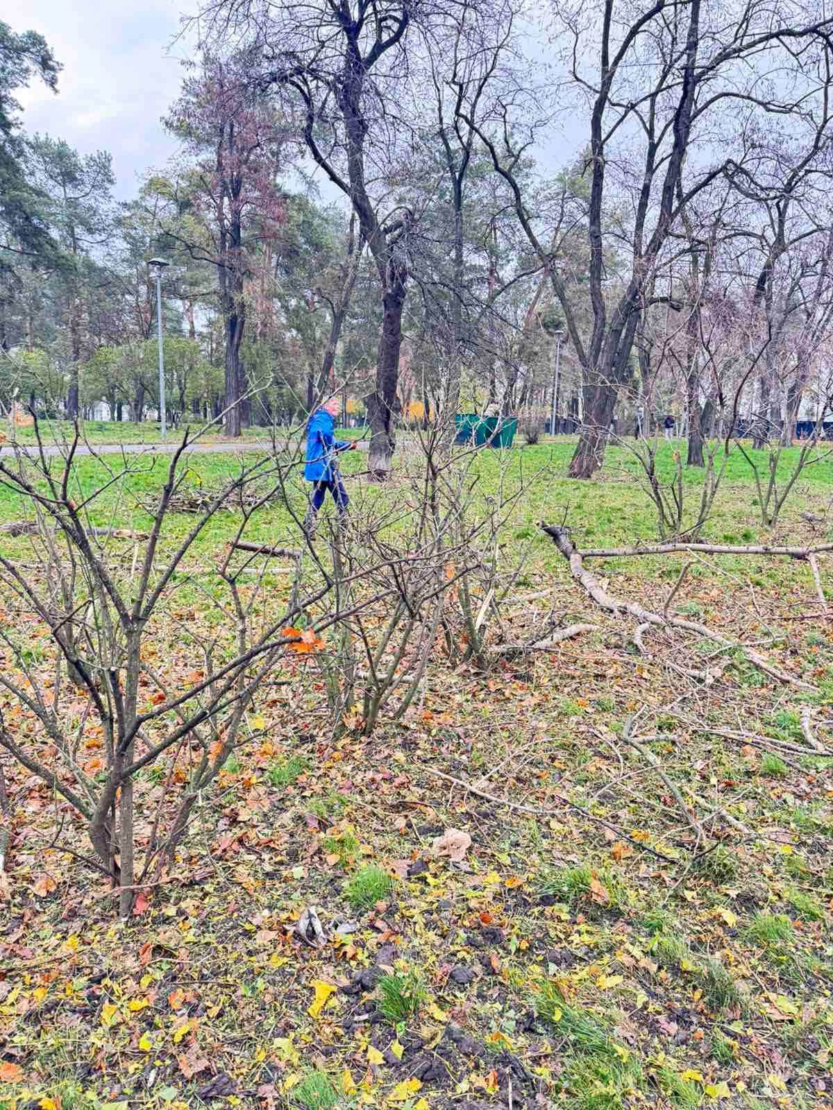 Пошкоджені кущі у парку «Кіото»