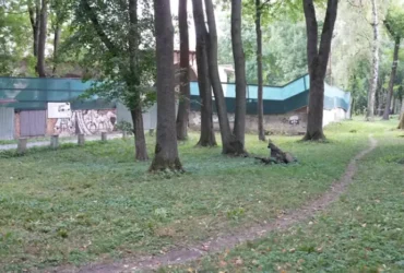Суд зобов’язав родину Круп знести паркан, що захоплює понад 2 тис. кв. м землі