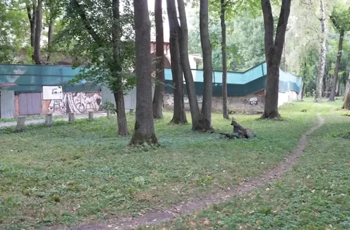 Суд зобов’язав родину Круп знести паркан, що захоплює понад 2 тис. кв. м землі