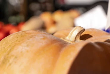 Де у Києві проходитимуть продуктові ярмарки 3-4 жовтня (адреси)