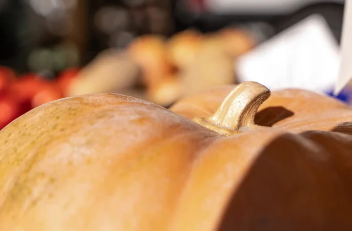 Де у Києві проходитимуть продуктові ярмарки 3-4 жовтня (адреси)