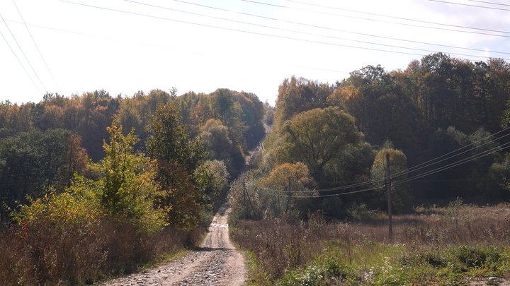 Дорога до обійстя Катерини Светлакової та Дмитра Маслюка