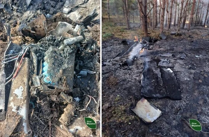 Ворожі дрони спричинили шість пожеж у лісах Київщини