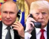 Кремль анонсував розмову Трампа та Путіна