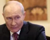 Мінотавр не наїсться: чому поступки Путіну не зупинять війну