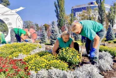 Головну в’їзну локацію столиці прикрасили понад 500 кущів хризантем (фото)