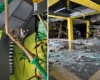 У Києві через обстріл зазнав пошкоджень зоопарк «Звірополіс»: що з тваринами