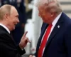 Трамп відреагував на «жест доброї волі» Путіна під час переговорів із Віткоффом