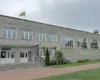 Лайка школяра на уроці обернулася судом для матері: реакція мережі