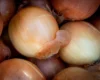 Продуктові ярмарки у Києві на вихідних 17-18 жовтня: де можна зробити покупки