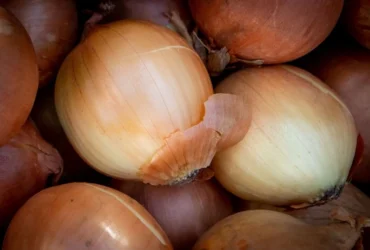 Продуктові ярмарки у Києві на вихідних 17-18 жовтня: де можна зробити покупки
