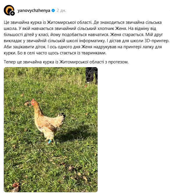Школяр із Житомирщини створив протез для курки фото 1