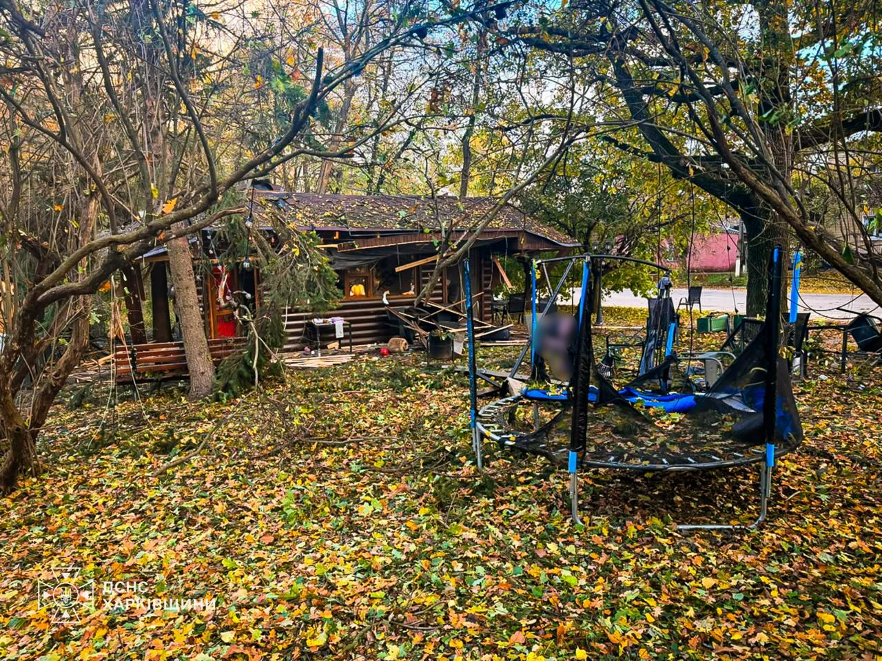 РФ вдарила по парку на Харківщині: загинули дві жінки та немовля, серед поранених – семеро дітей фото 1