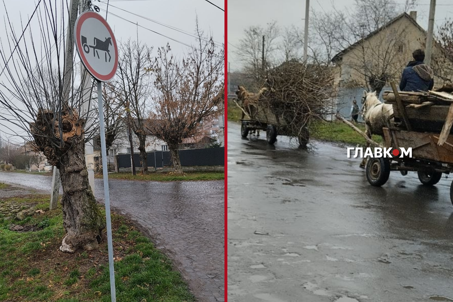 Тут не прийнято зважати на обмеження правил дорожнього руху