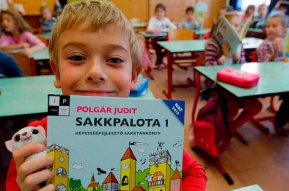 Противники законопроєкту вважають, що він може остаточно витіснити українську мову з освітнього процесу на Закарпатті