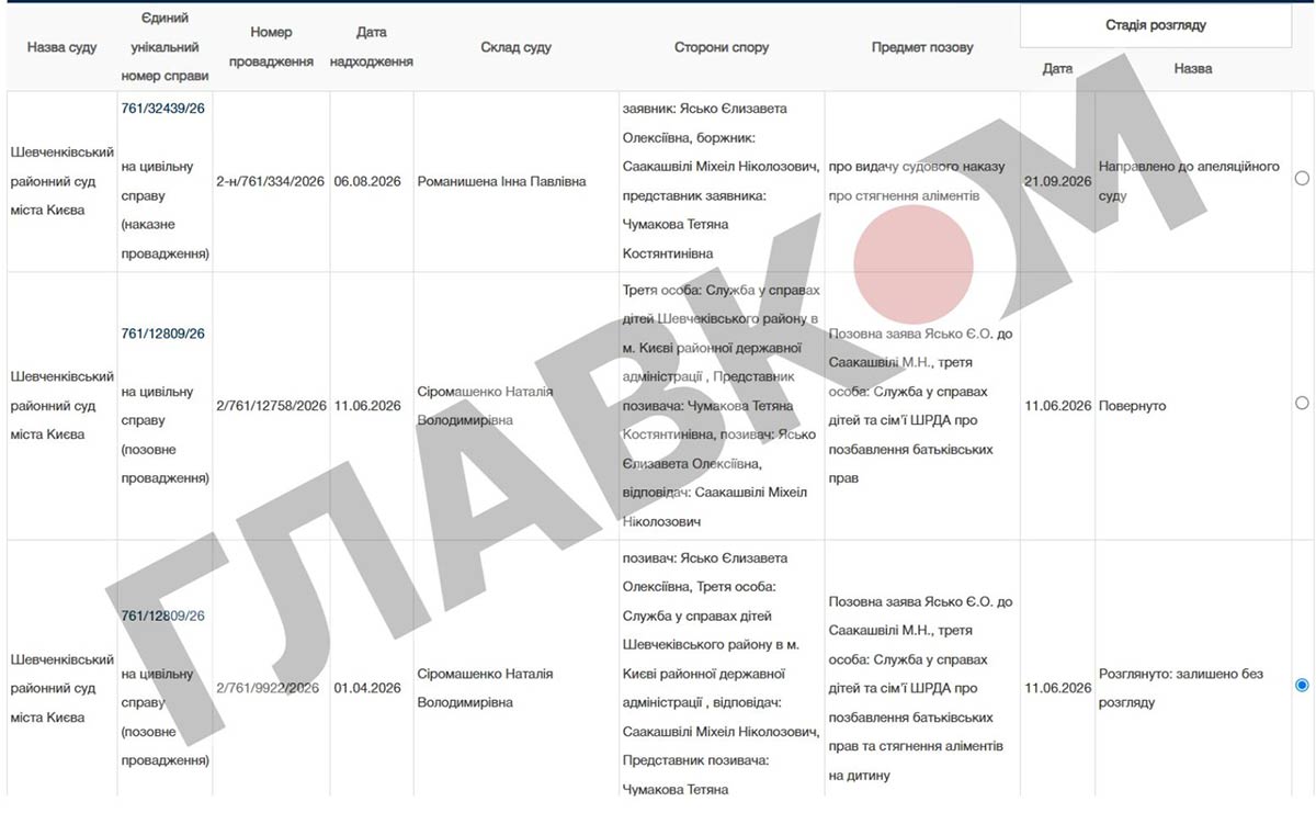 Суть претензій нардепки Єлизавети Ясько до Міхеіла Саакашвілі зводиться до двох вимог: позбавлення батьківських прав і стягнення аліментів
